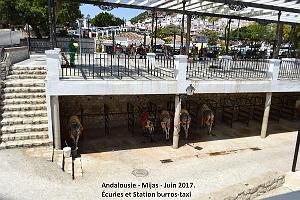419- Mijas